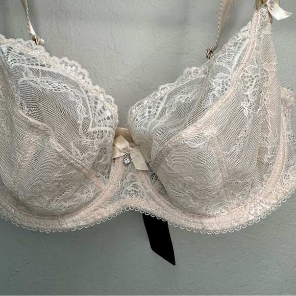 NWT ALEGRO Lingerie Innocent Lily Lace Bra in “Skin” Nude Unlined Underwire 36C - Picture 4 of 16